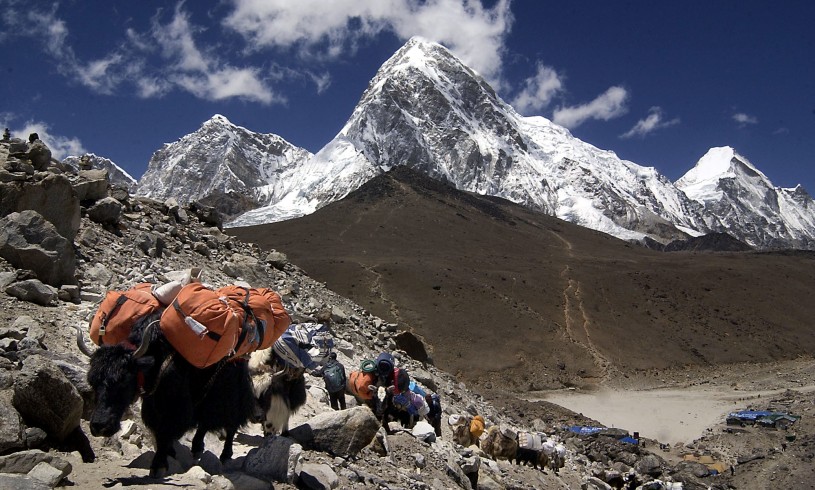 Over 55,000 tourists visit Everest Region in 11 months